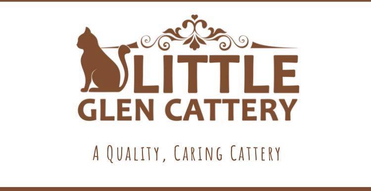 Little glen cattery